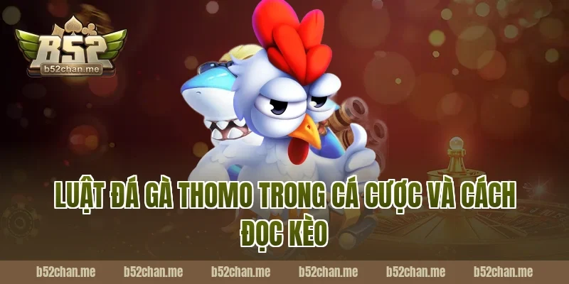 Luật đá gà thomo trong cá cược và cách đọc kèo