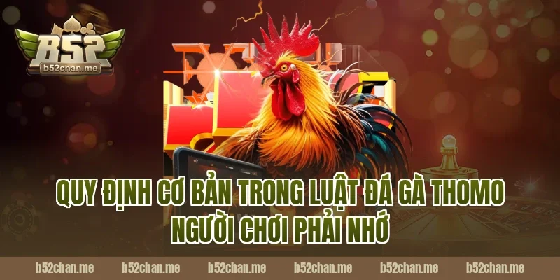 Quy định cơ bản trong luật đá gà thomo người chơi phải nhớ