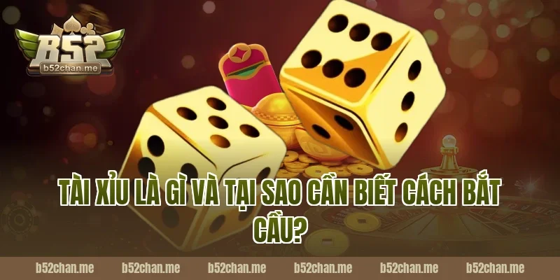 Tài Xỉu Là Gì Và Tại Sao Cần Biết Cách Bắt Cầu?