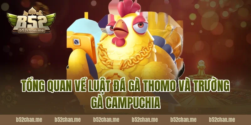 Tổng quan về luật đá gà thomo và trường gà Campuchia